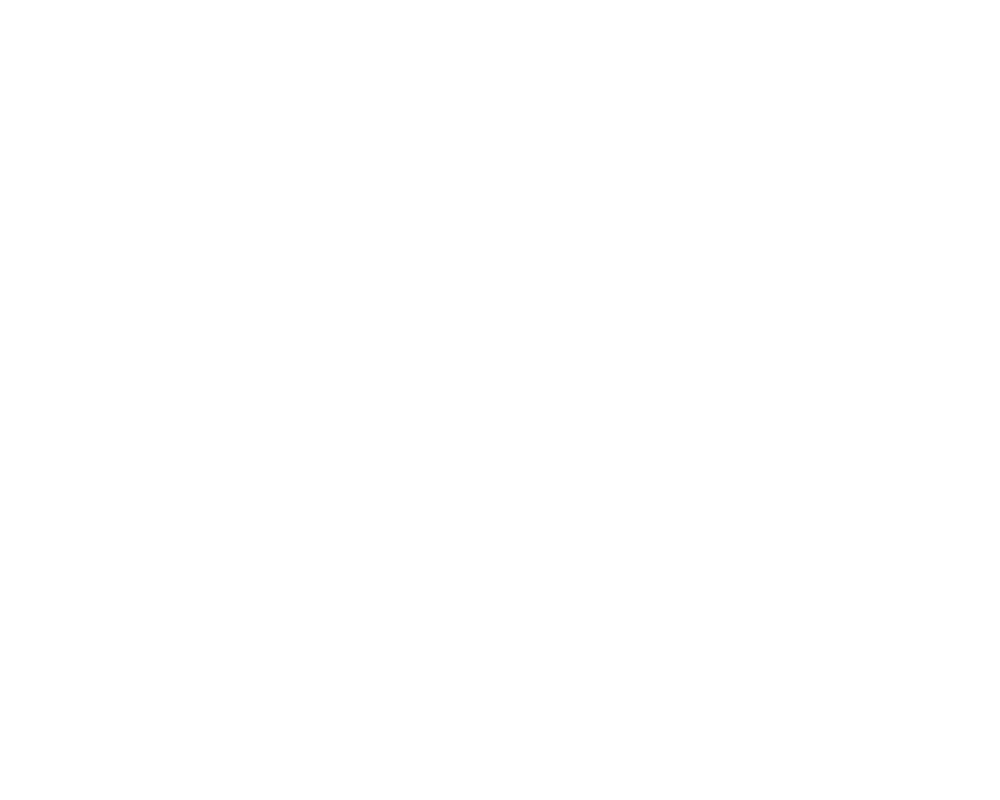 rr-nissan